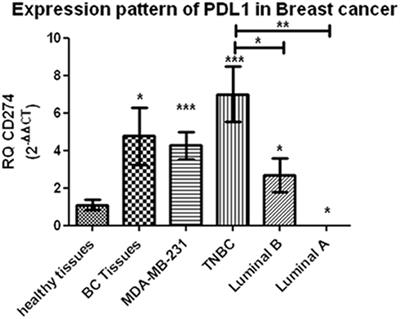 XIST and TSIX: Novel Cancer Immune Biomarkers in PD-L1-Overexpressing Breast Cancer Patients